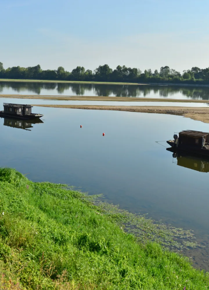 Toues sur la Loire à Thoureil