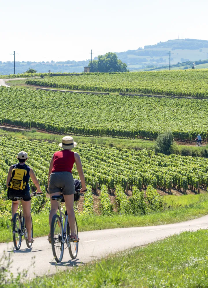 Voie des Vignes à vélo