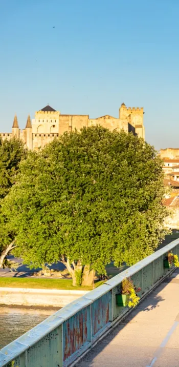 ViaRhôna d'Avignon à Montpellier