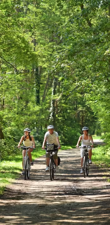 Balade vélo en Sologne à Marcilly-en-Gault