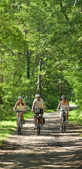 Balade vélo en Sologne à Marcilly-en-Gault