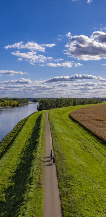 Vue des bords de Loire