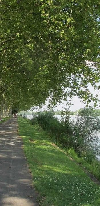 Bourgogne du Sud grands crus et art roman.jpg