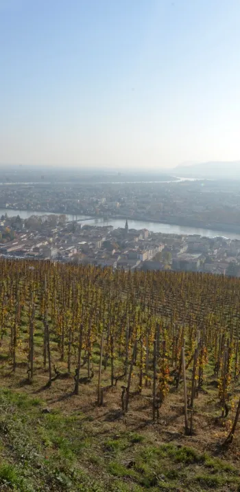 Chapelle Saint-Christophe : panorama & coteaux de l’Hermitage