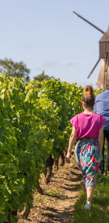 Moulin de la Montagne dans le Layon à Thouarcé