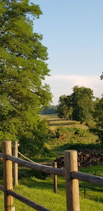 Bords de la Loire sur la boucle R1