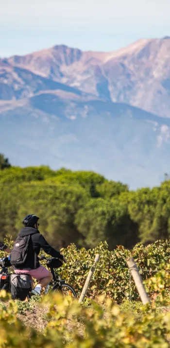 Les Pyrénées en arrière plan
