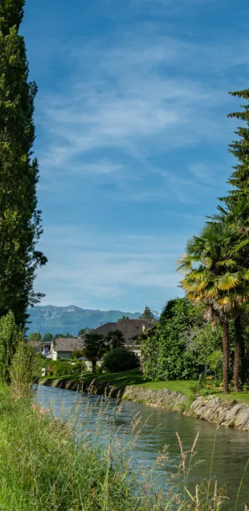 Voie verte à vélo aux abords de Nay - La Vélosud