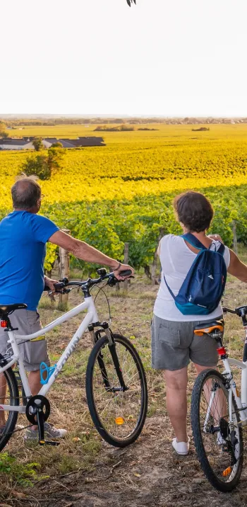 À vélo dans les vignes de Bourgueil