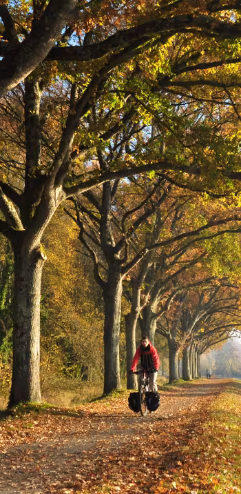 Le canal de Nantes à Brest en Automne vers Pontivy