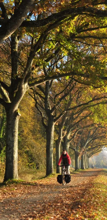 Le canal de Nantes à Brest en Automne vers Pontivy