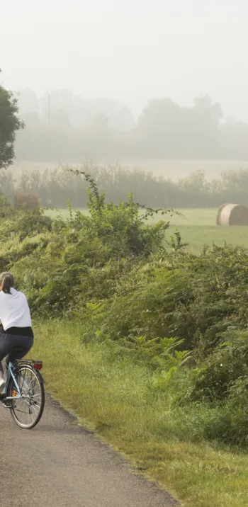Balade champêtre en queue de Brenne - Boucle vélo n°12