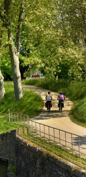 Le Canal du Midi à vélo