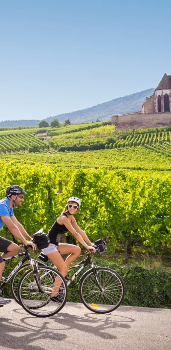 Balade sur la Véloroute du Vignoble / EuroVelo 5