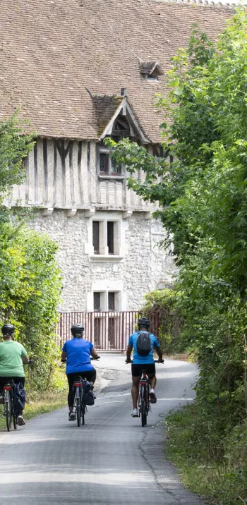Balade à vélo entre Blois et Chambord