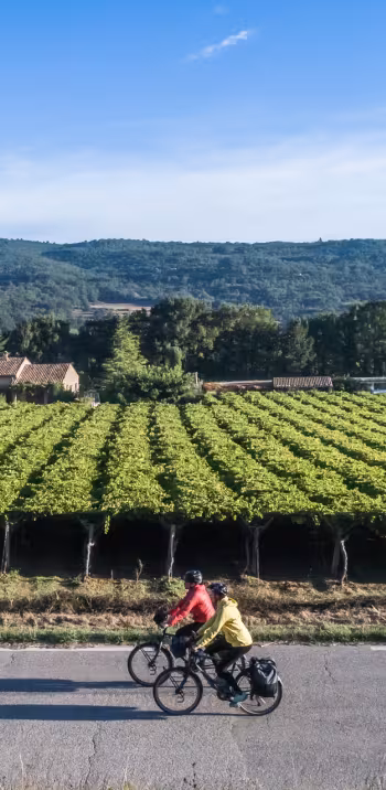 Le Luberon à vélo à Coustellet