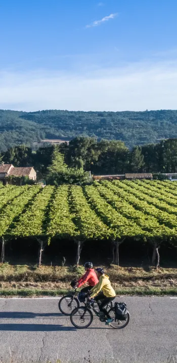 Le Luberon à vélo à Coustellet