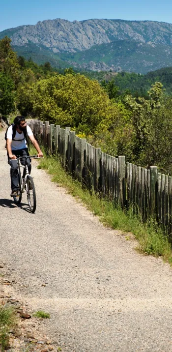 PassaPaïs, voie verte du Haut-Languedoc