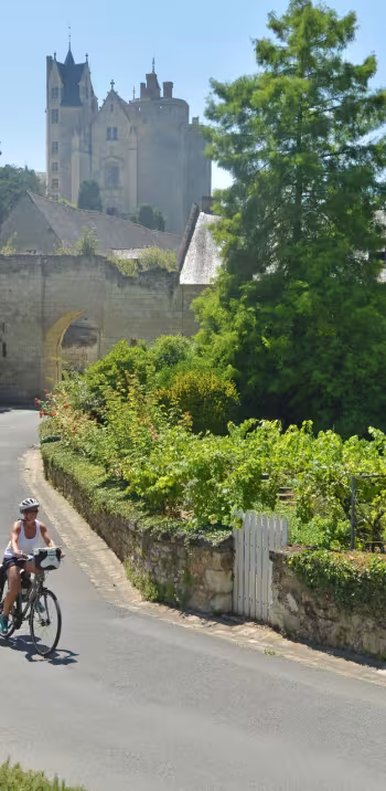 Montreuil-Bellay sur La Vélo Francette