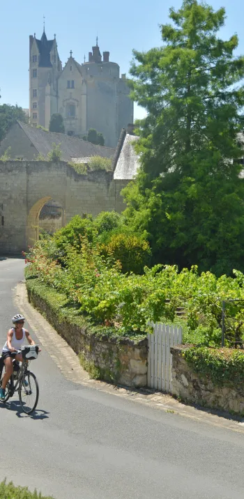 Montreuil-Bellay sur La Vélo Francette