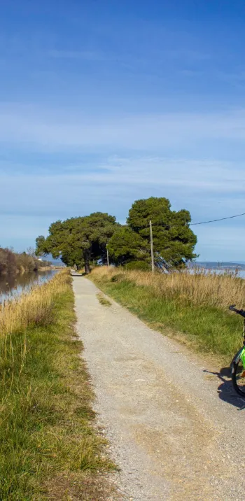 Petite route à vélo aux abords de Narbonne