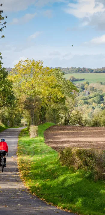 Petite route de campagne à vélo en Suisse Normande