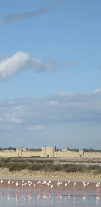 Salins d'Aigues-Mortes