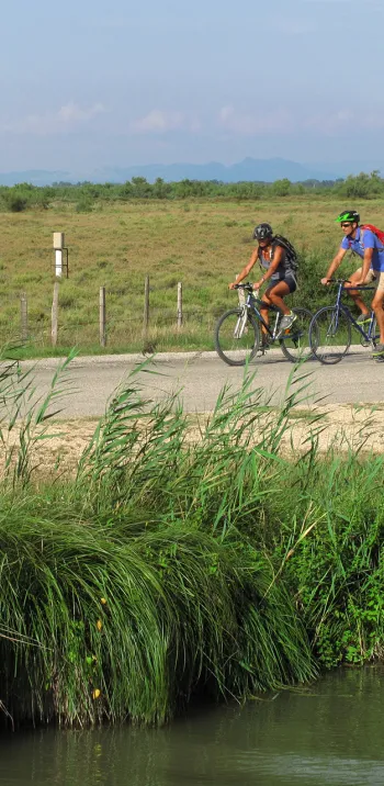 A travers les rizières à vélo