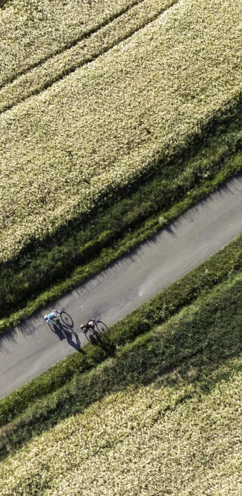 Petite route sur La Vélobuissonnière