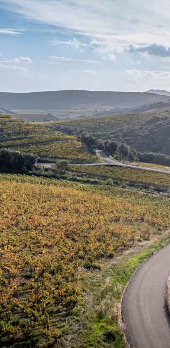 La Véloccitanie