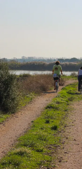 La Camargue avec Vélorizons