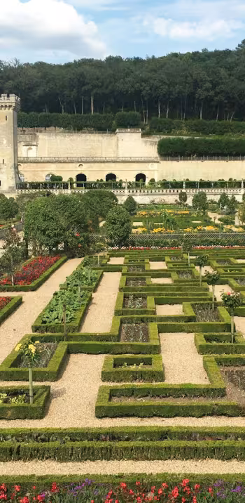Jardins du château de Villandry