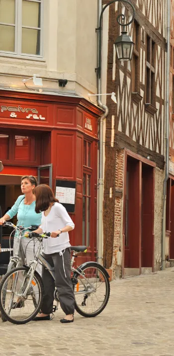 Visite d'Orléans à vélo - La Loire à vélo