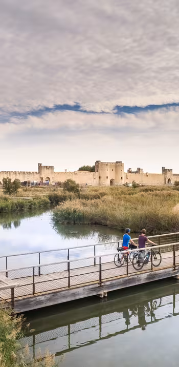 Du Rhône à la Camargue