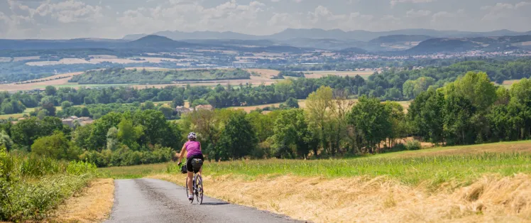 Vue sur la Limagne et le massif du Sancy