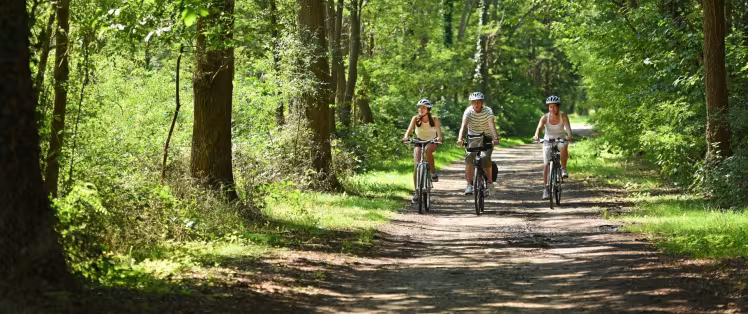 Balade vélo en Sologne à Marcilly-en-Gault