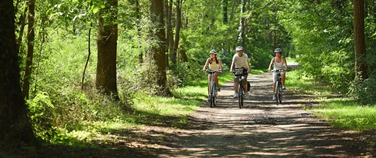Balade vélo en Sologne à Marcilly-en-Gault