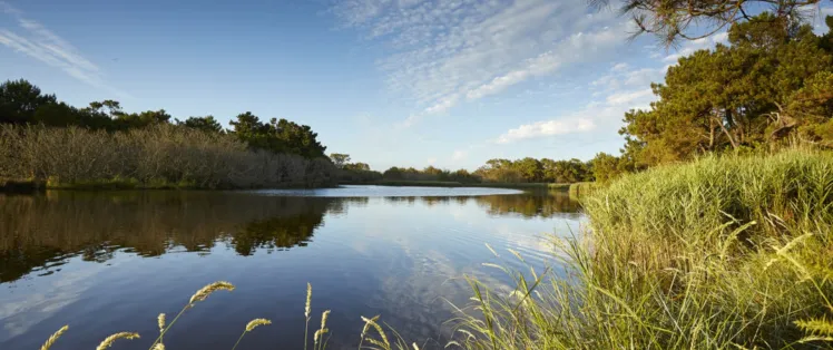 Marais de Mousterlin