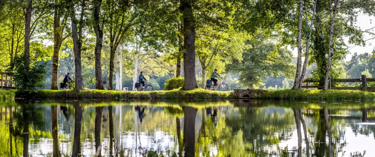 Vélos au Moulin d'Angibault à Montipouret