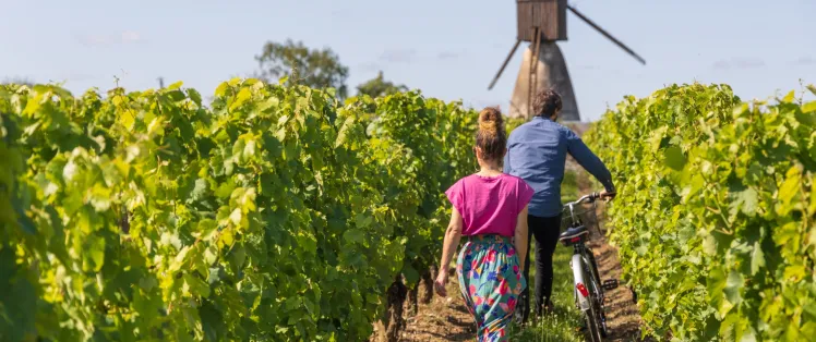 Moulin de la Montagne dans le Layon à Thouarcé
