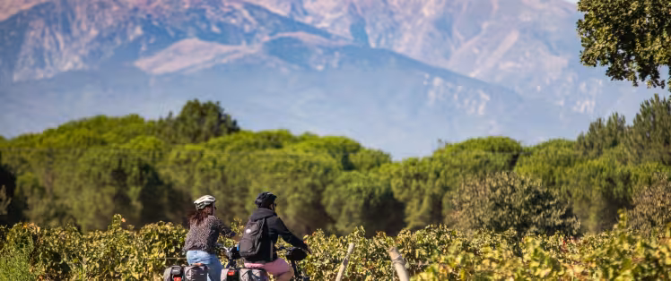 Les Pyrénées en arrière plan