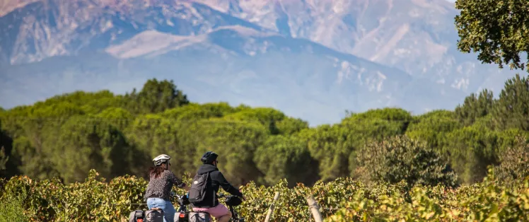 Les Pyrénées en arrière plan
