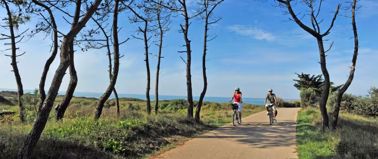 L'Atlantique en roue libre