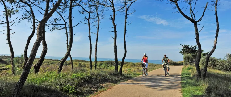 L'Atlantique en roue libre