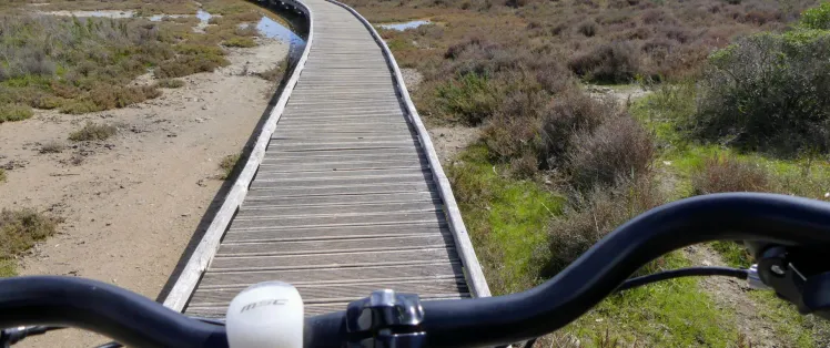 Traversée du Bois d'Aresquiers à vélo