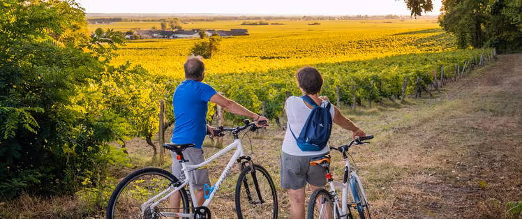 À vélo dans les vignes de Bourgueil