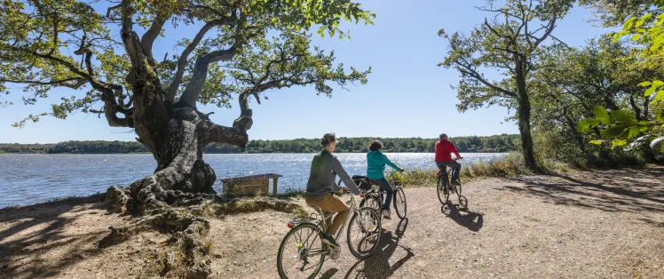 Étang de la Mer Rouge - PNR de la Brenne