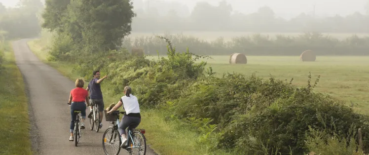 Balade champêtre en queue de Brenne - Boucle vélo n°12