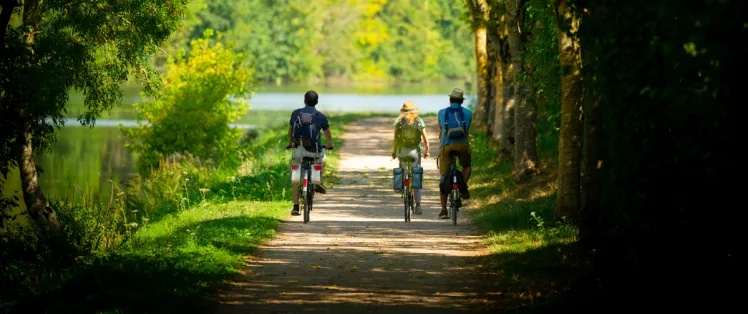 La Vélobuissonnière du Mans à Saumur