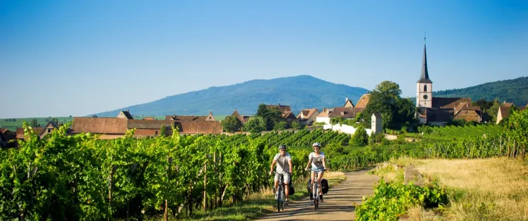 Depuis Strasbourg : Véloroute du Vignoble
